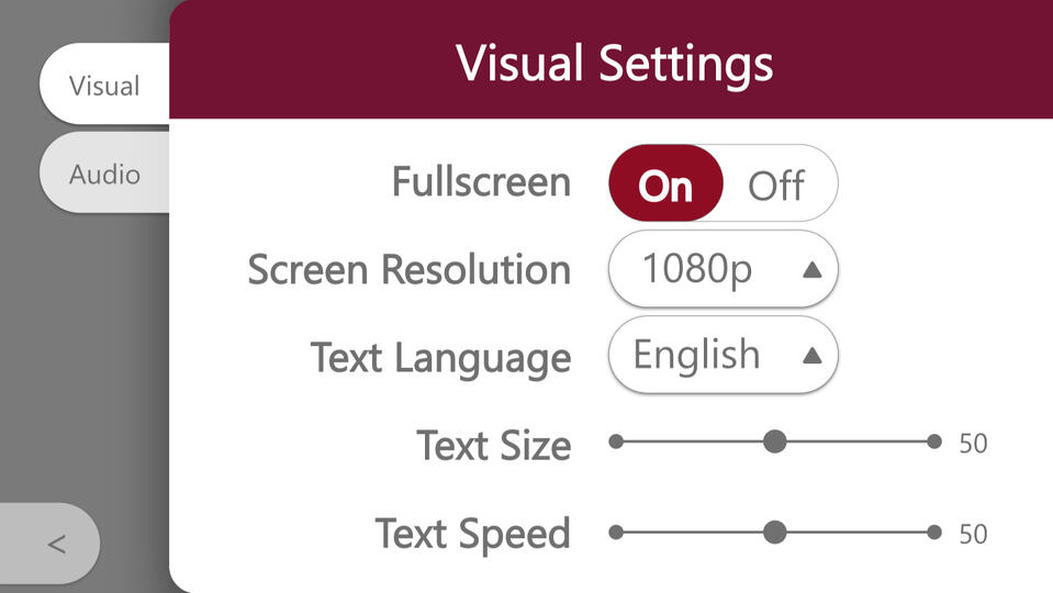 Visual Settings
